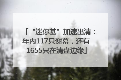 “迷你基”加速出清：年内117只谢幕，还有1655只在清盘边缘