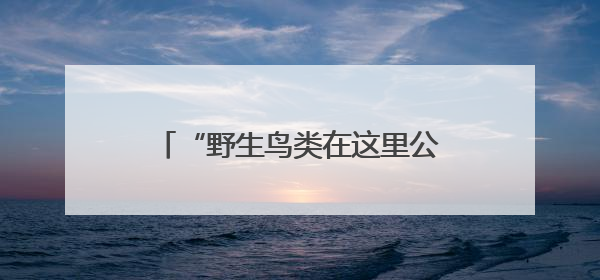 “野生鸟类在这里公开贩卖”，人民日报暗访后，西安表态