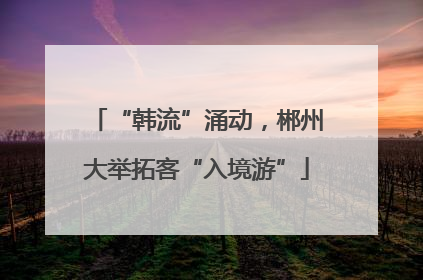 “韩流”涌动，郴州大举拓客“入境游”