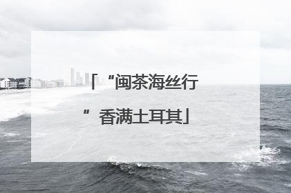 “闽茶海丝行”香满土耳其