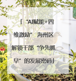 “AI赋能+四维激励” 海州区解锁干部“争先抓早”的发展密码
