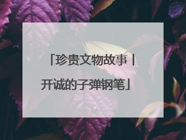 珍贵文物故事丨开诚的子弹钢笔