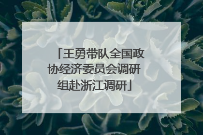 王勇带队全国政协经济委员会调研组赴浙江调研