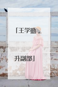 王学勤，升副部