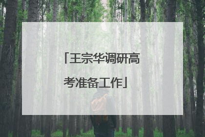 王宗华调研高考准备工作