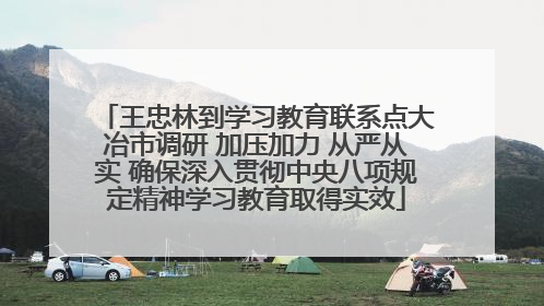 王忠林到学习教育联系点大冶市调研 加压加力 从严从实 确保深入贯彻中央八项规定精神学习教育取得实效