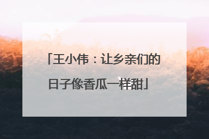 王小伟：让乡亲们的日子像香瓜一样甜