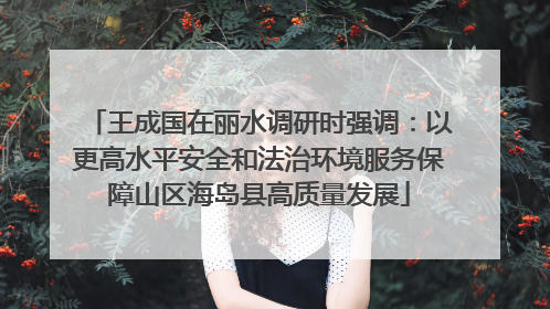 王成国在丽水调研时强调：以更高水平安全和法治环境服务保障山区海岛县高质量发展