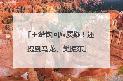 王楚钦回应质疑！还提到马龙、樊振东