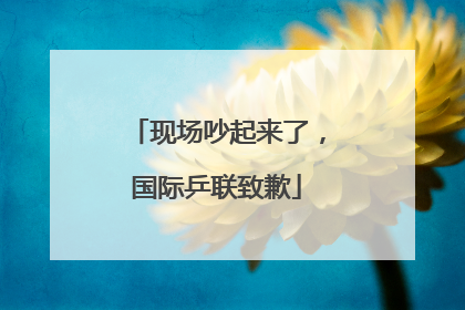 现场吵起来了，国际乒联致歉