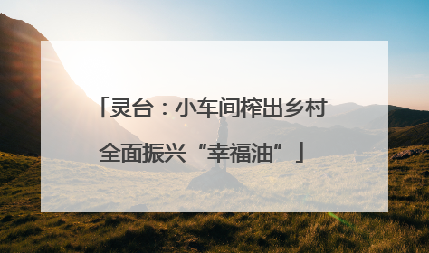 灵台：小车间榨出乡村全面振兴“幸福油”