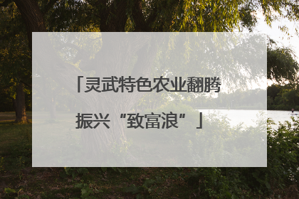 灵武特色农业翻腾振兴“致富浪”