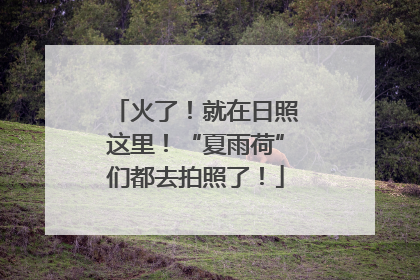 火了！就在日照这里！“夏雨荷”们都去拍照了！