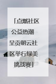 点燃社区公益热潮 呈贡朝云社区举行绿美挑战赛