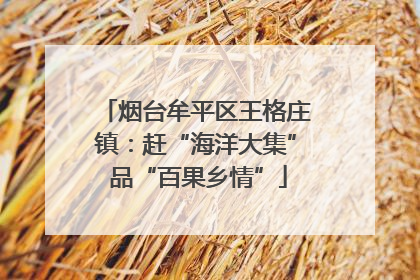 烟台牟平区王格庄镇：赶“海洋大集” 品“百果乡情”