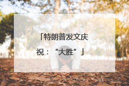 特朗普发文庆祝：“大胜”