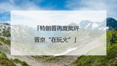 特朗普再度批评普京“在玩火”