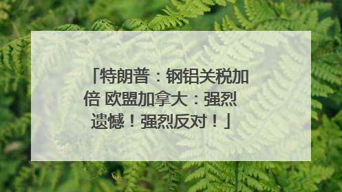特朗普：钢铝关税加倍 欧盟加拿大：强烈遗憾！强烈反对！
