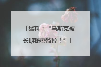 猛料：“马斯克被长期秘密监控！”