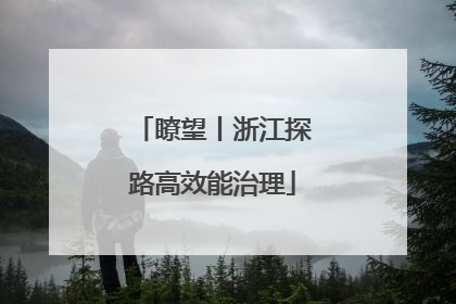 瞭望丨浙江探路高效能治理