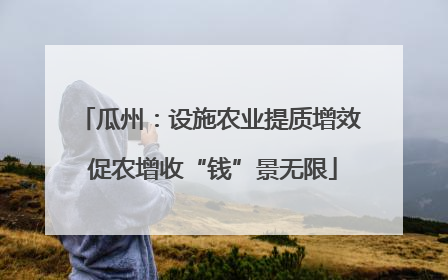 瓜州：设施农业提质增效 促农增收“钱”景无限