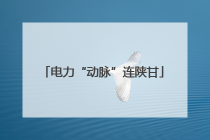 电力“动脉”连陕甘