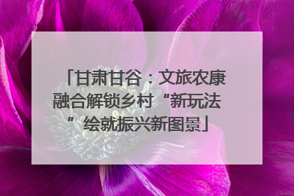 甘肃甘谷：文旅农康融合解锁乡村“新玩法”绘就振兴新图景