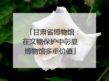 甘肃省博物馆：在文物保护中彰显博物馆多重价值