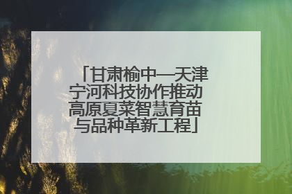 甘肃榆中—天津宁河科技协作推动高原夏菜智慧育苗与品种革新工程