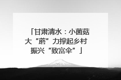 甘肃清水：小菌菇大“蘑”力撑起乡村振兴“致富伞”