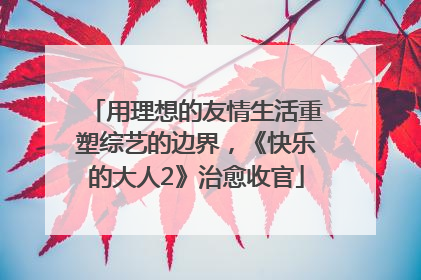 用理想的友情生活重塑综艺的边界，《快乐的大人2》治愈收官