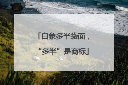 白象多半袋面，“多半”是商标