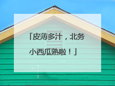 皮薄多汁，北务小西瓜熟啦！