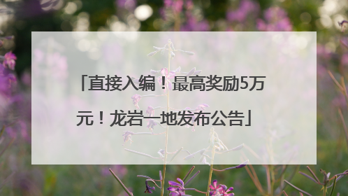 直接入编！最高奖励5万元！龙岩一地发布公告