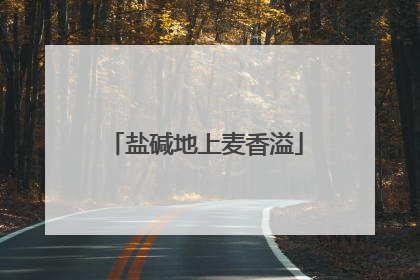 盐碱地上麦香溢