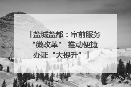 盐城盐都：审前服务“微改革” 推动便捷办证“大提升”