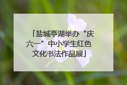 盐城亭湖举办“庆六一”中小学生红色文化书法作品展