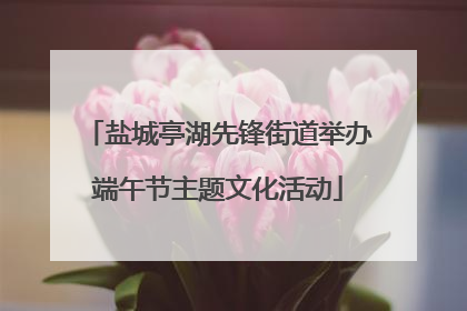 盐城亭湖先锋街道举办端午节主题文化活动