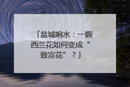 盐城响水：一颗西兰花如何变成“致富花”？
