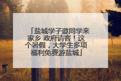 盐城学子邀同学来家乡 政府请客！这个暑假，大学生多项福利免费游盐城
