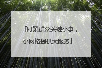 盯紧群众关键小事，小网格提供大服务