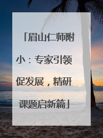 眉山仁师附小：专家引领促发展，精研课题启新篇