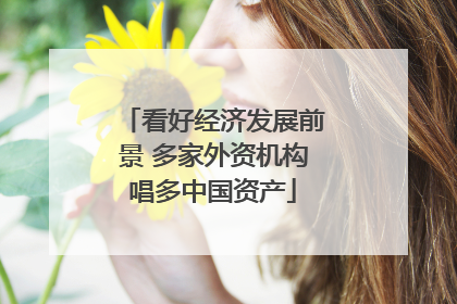 看好经济发展前景 多家外资机构唱多中国资产