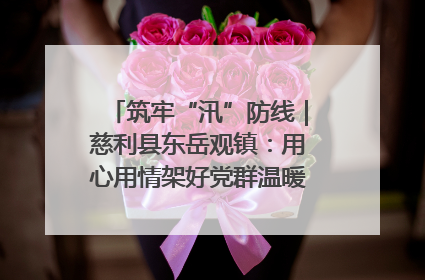 筑牢“汛”防线｜慈利县东岳观镇：用心用情架好党群温暖悠长的“连心桥”