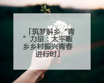 筑梦斛乡“青”力量：太平畈乡乡村振兴青春进行时