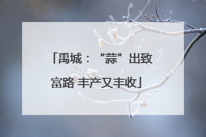 禹城：“蒜”出致富路 丰产又丰收