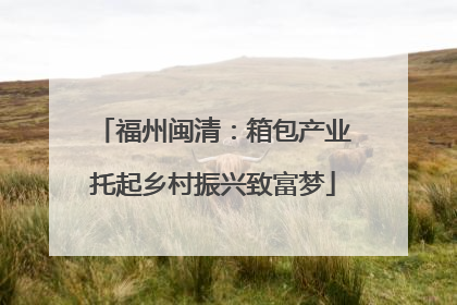 福州闽清：箱包产业托起乡村振兴致富梦