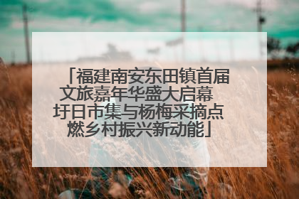 福建南安东田镇首届文旅嘉年华盛大启幕 圩日市集与杨梅采摘点燃乡村振兴新动能