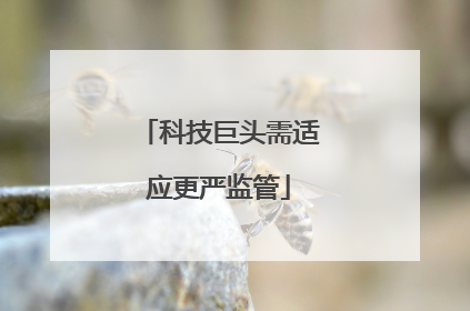 科技巨头需适应更严监管
