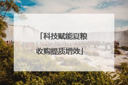 科技赋能夏粮收购提质增效